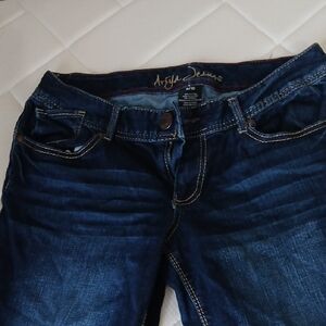 Ariya Women's Dark Blue Skinny Jeans